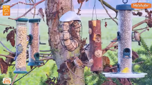 2022_12_10_09_04_11_LIVE_Tree_Bird_Feeder_Cam_High_Quality_3D_Sound_Recke_Germany_YouTube_M.png